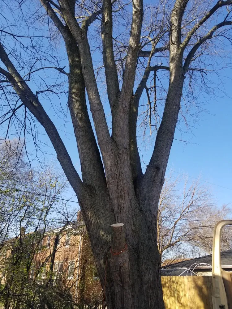 Reliable yard maintenance for year-round maintenance across Waukesha, WI - Greenstar Landscaping