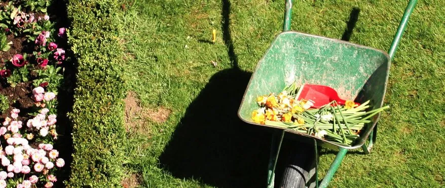 Local lawn mowing service in Omaha, NE - Greenstar Lawn Management