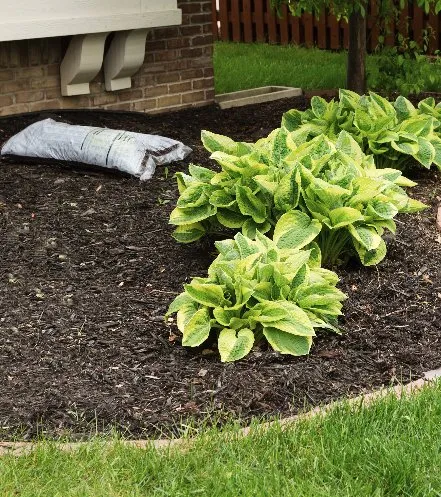 Local garden landscaping in Omaha, NE - Greenstar Lawn Management
