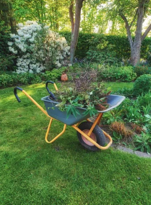 Top-rated outdoor landscaping experts serving Omaha, NE - Greenstar Lawn Management