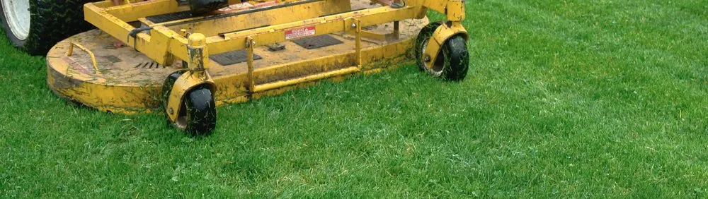 Reliable landscaping services in Omaha, NE by Greenstar Lawn Management