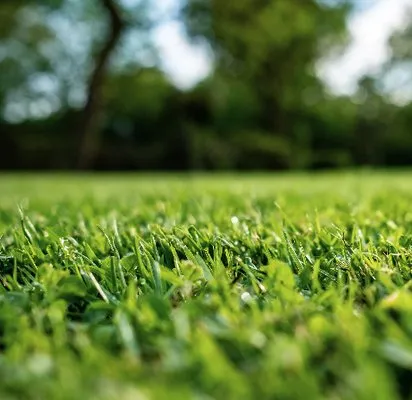 Greenstar Lawn Management Logo