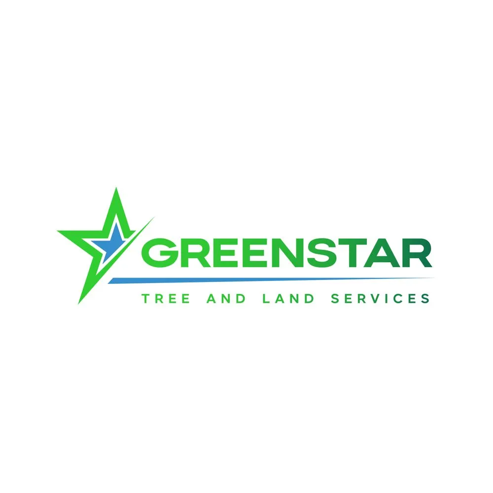 Expert landscape installation for beautiful yards in Austin, TX by Greenstar Tree and Land Services
