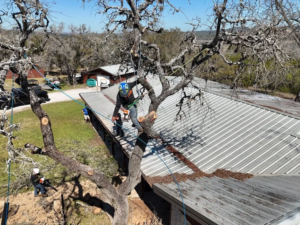 Reliable outdoor landscaping for beautiful yards in Austin, TX by Greenstar Tree and Land Services