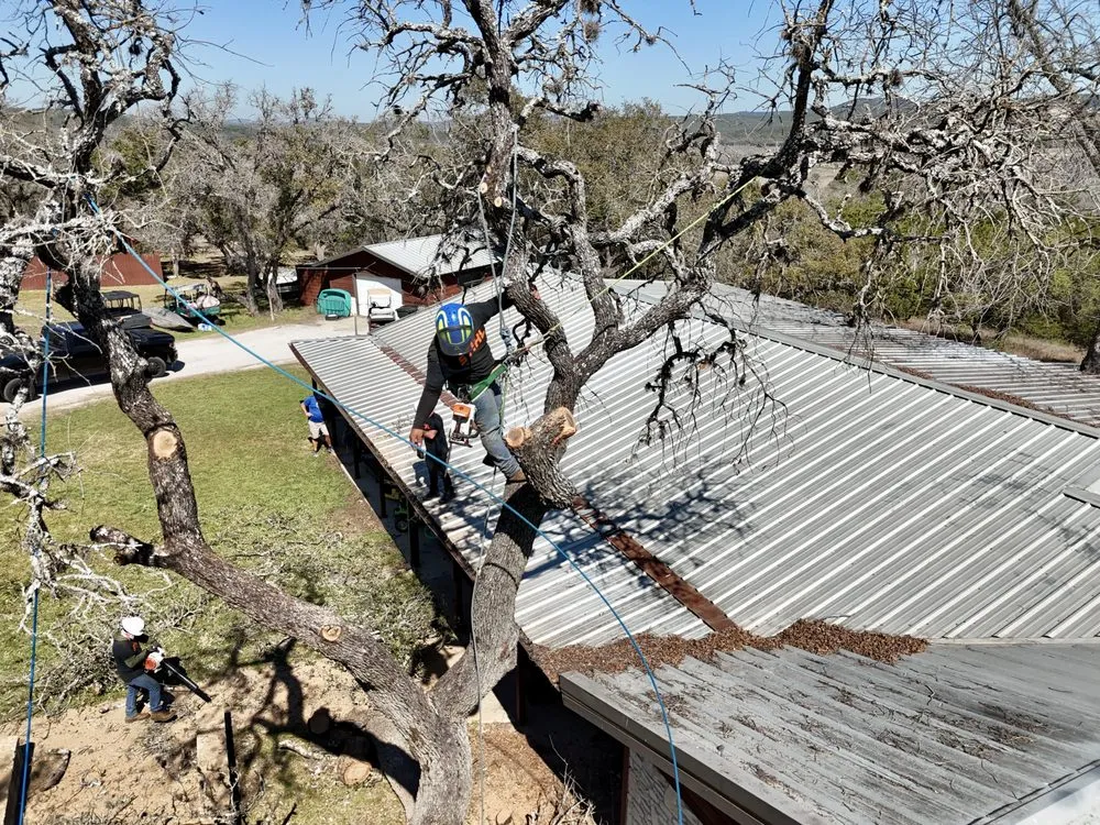 Reliable landscape design in Austin, TX - Greenstar Tree and Land Services