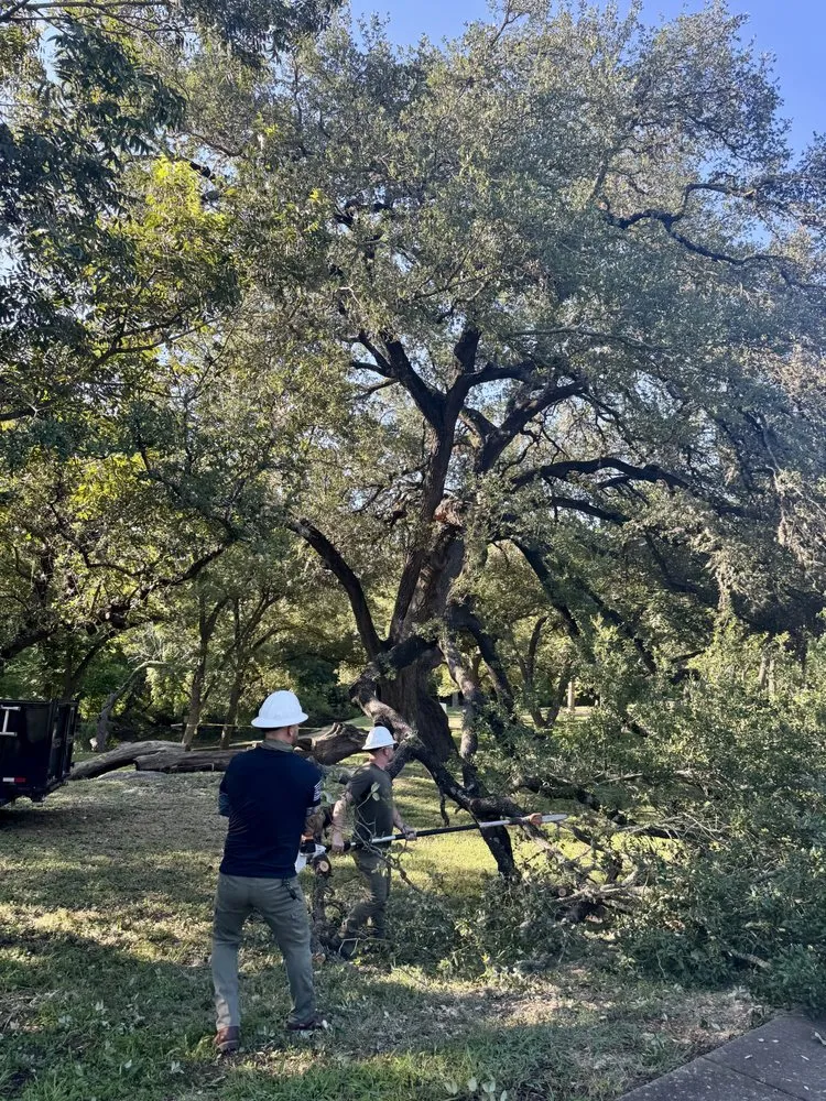 Reliable garden landscaping near you across Austin, TX - Greenstar Tree and Land Services