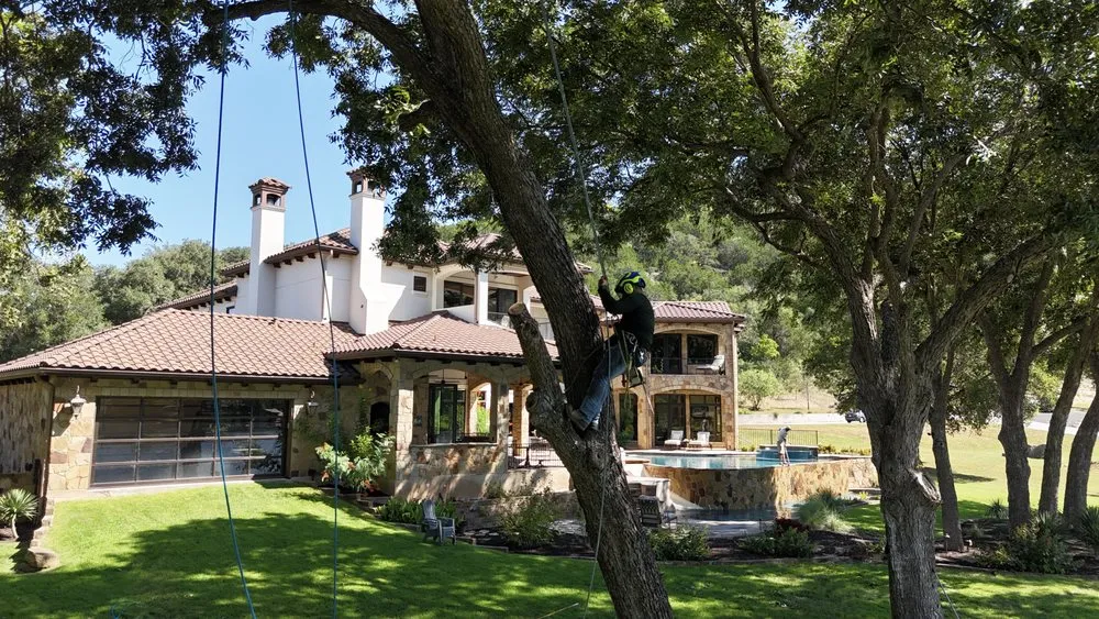 Expert lawn care service in Austin, TX - Greenstar Tree and Land Services