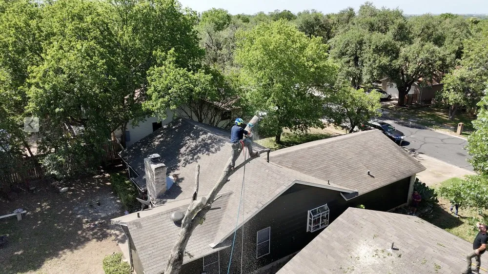 Trusted yard maintenance in Austin, TX by Greenstar Tree and Land Services
