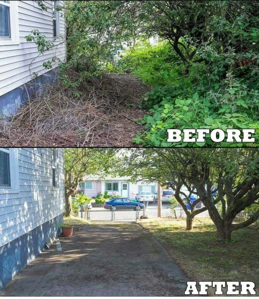 Affordable landscape installation in Beaverton, OR - Greenstars Lawn Care