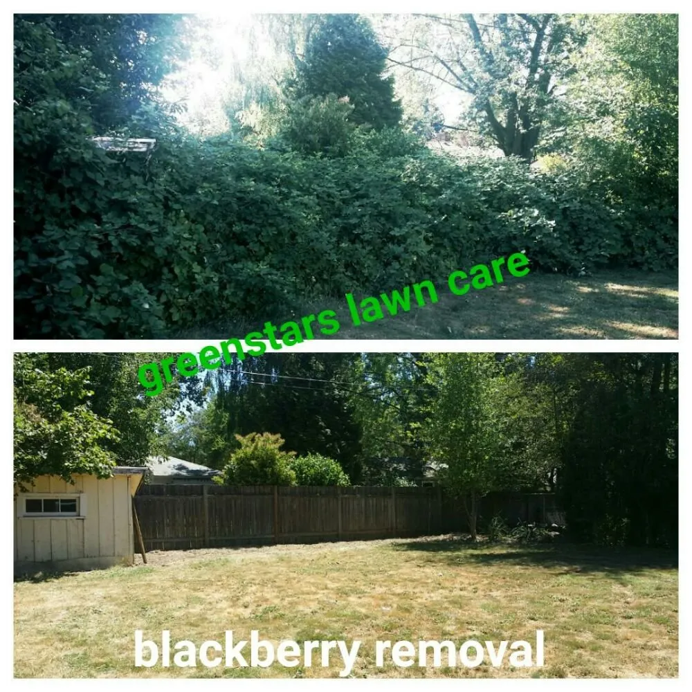 Expert landscape installation with custom design across Beaverton, OR - Greenstars Lawn Care