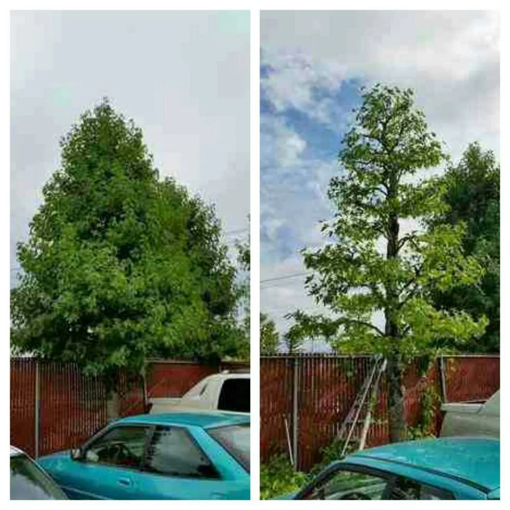 Custom outdoor landscaping for outdoor upgrades in Beaverton, OR by Greenstars Lawn Care