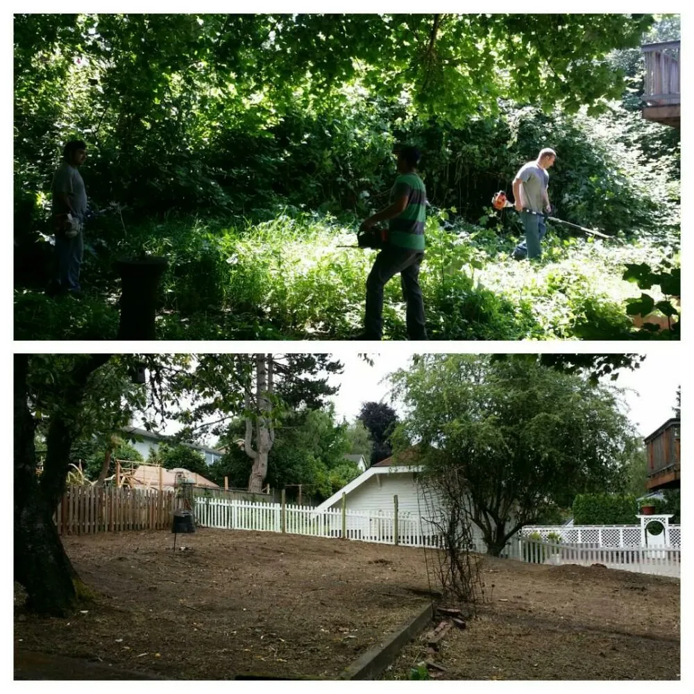 Trusted yard maintenance in Beaverton, OR by Greenstars Lawn Care