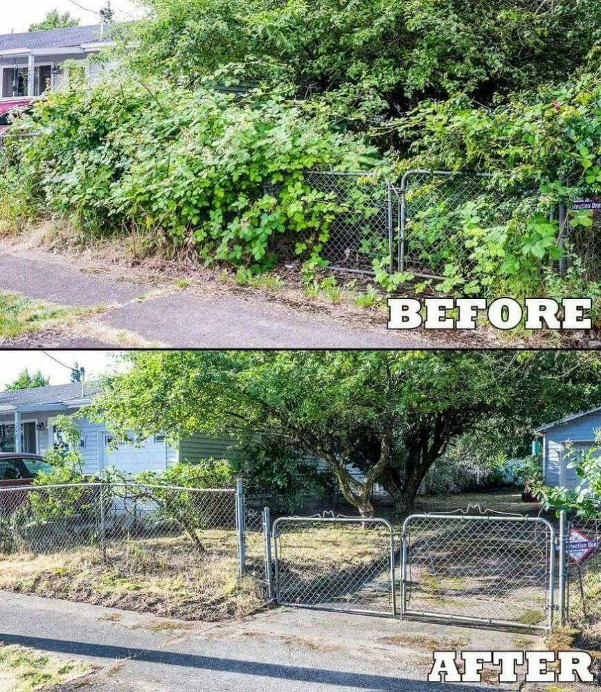 Expert lawn mowing service for year-round maintenance in Beaverton, OR by Greenstars Lawn Care