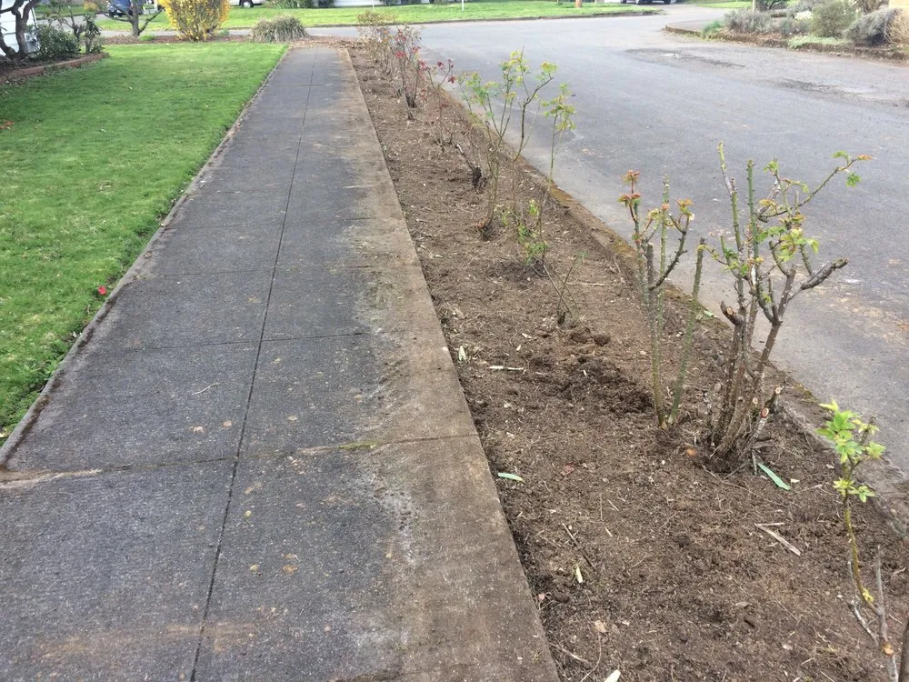 Trusted landscape design for beautiful yards in Beaverton, OR by Greenstars Lawn Care