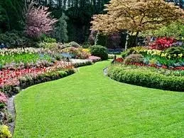 Local yard maintenance in Poulsbo, WA - Greenstate Landscaping