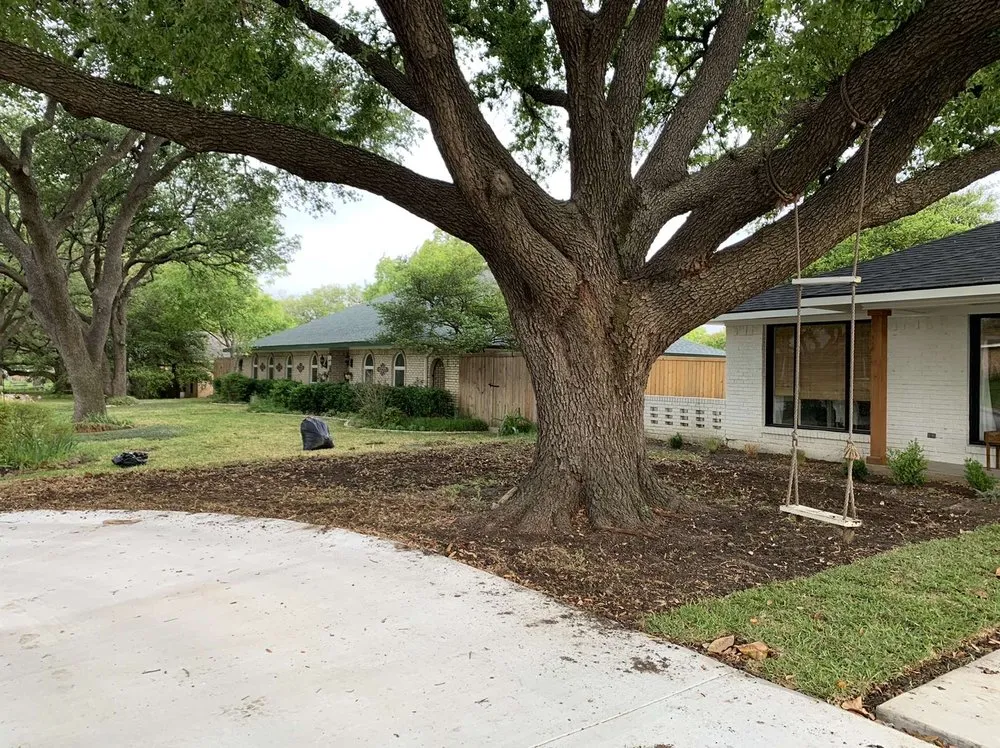 Top-rated yard maintenance experts serving Farmers Branch, TX - Greenstem Landscape & Tree Service
