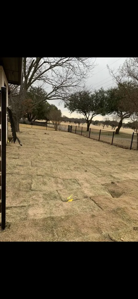 Professional outdoor landscaping in Farmers Branch, TX by Greenstem Landscape & Tree Service