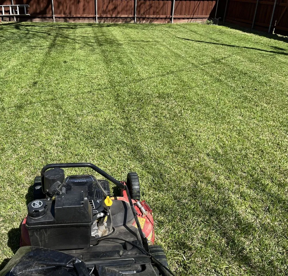 Trusted outdoor landscaping for beautiful yards in Farmers Branch, TX by Greenstem Landscape & Tree Service