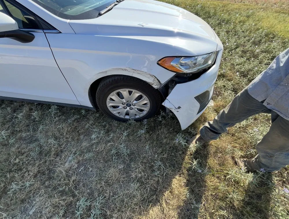 Reliable yard cleanup service in Farmers Branch, TX by Greenstem Landscape & Tree Service