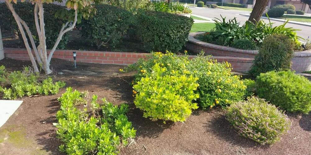 Custom residential landscaping in Visalia, CA by Greenstone Lawn Care & Landscaping