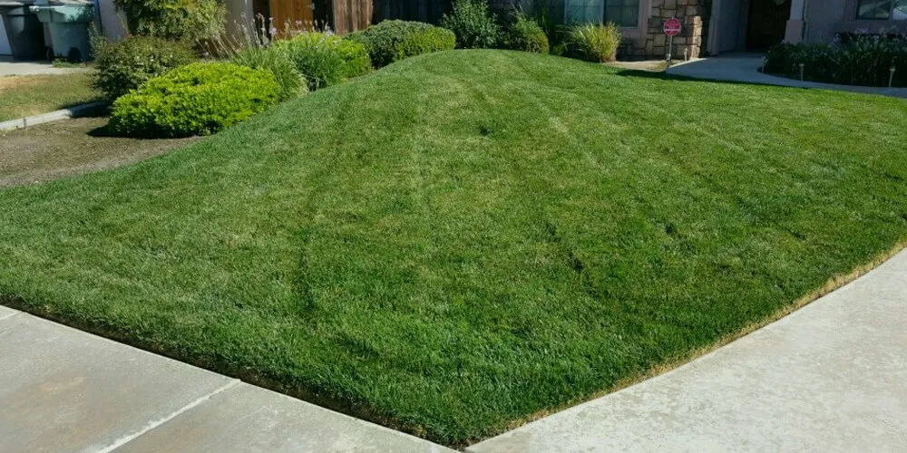 Professional residential landscaping in Visalia, CA - Greenstone Lawn Care & Landscaping