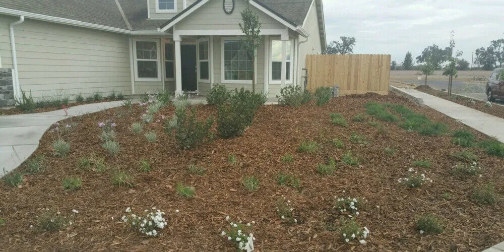 Trusted yard cleanup service for beautiful yards across Visalia, CA - Greenstone Lawn Care & Landscaping