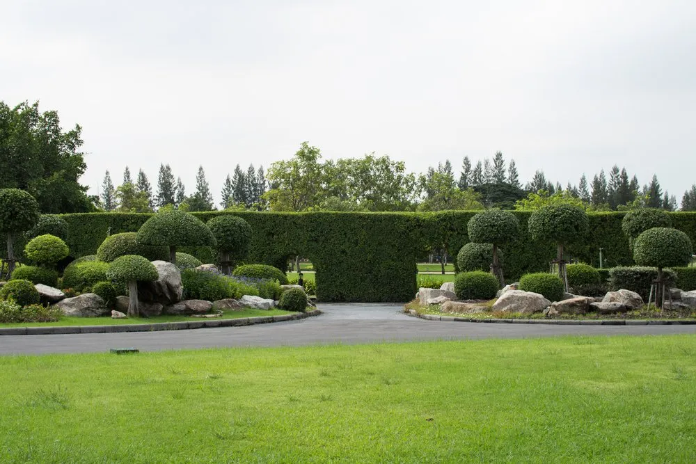 Custom yard cleanup service in Visalia, CA by Greenstone Lawn Care & Landscaping
