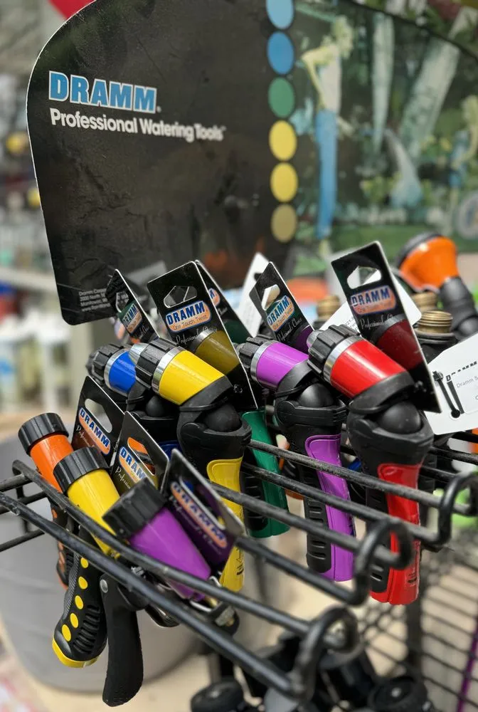 Expert outdoor landscaping for homes in Alexandria, VA by Greenstreet Gardens