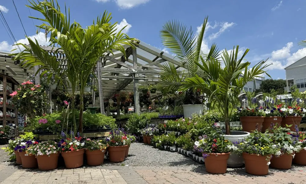 Custom landscape design for beautiful yards in Alexandria, VA by Greenstreet Gardens