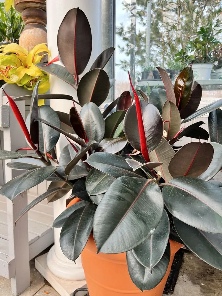 Local landscaping services experts serving Alexandria, VA - Greenstreet Gardens