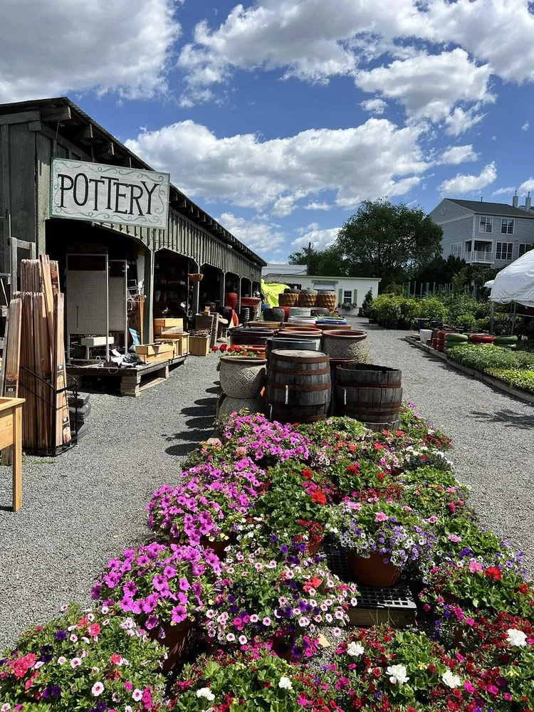 Expert landscaping services in Alexandria, VA by Greenstreet Gardens