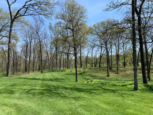 Greenstripe Lawncare