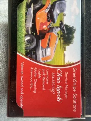 Greenstripe Solutions Logo