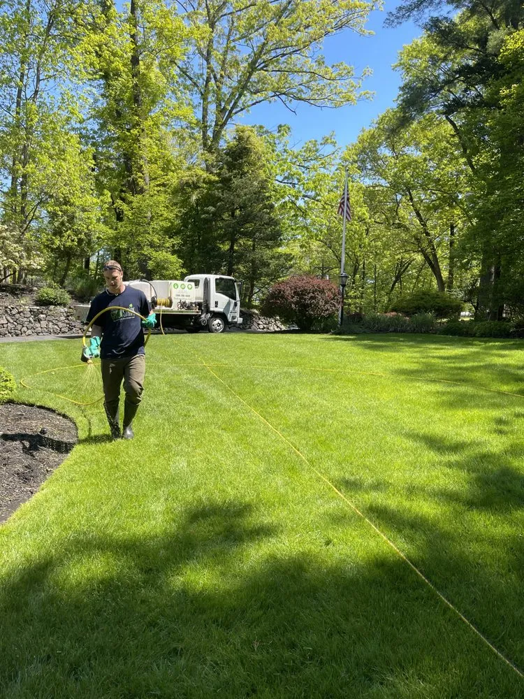 Custom garden landscaping for residential properties in Union, NJ by GreenStripe