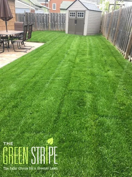 Professional outdoor landscaping with custom design across Union, NJ - GreenStripe