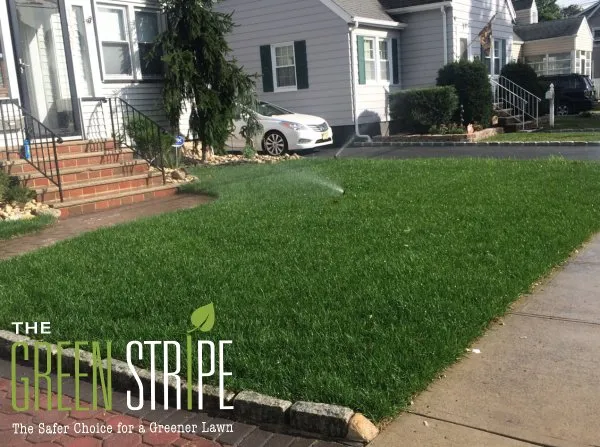 Trusted landscaping services in Union, NJ - GreenStripe