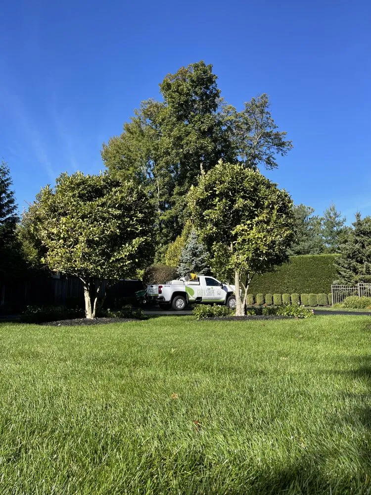 Local garden landscaping in Union, NJ by GreenStripe