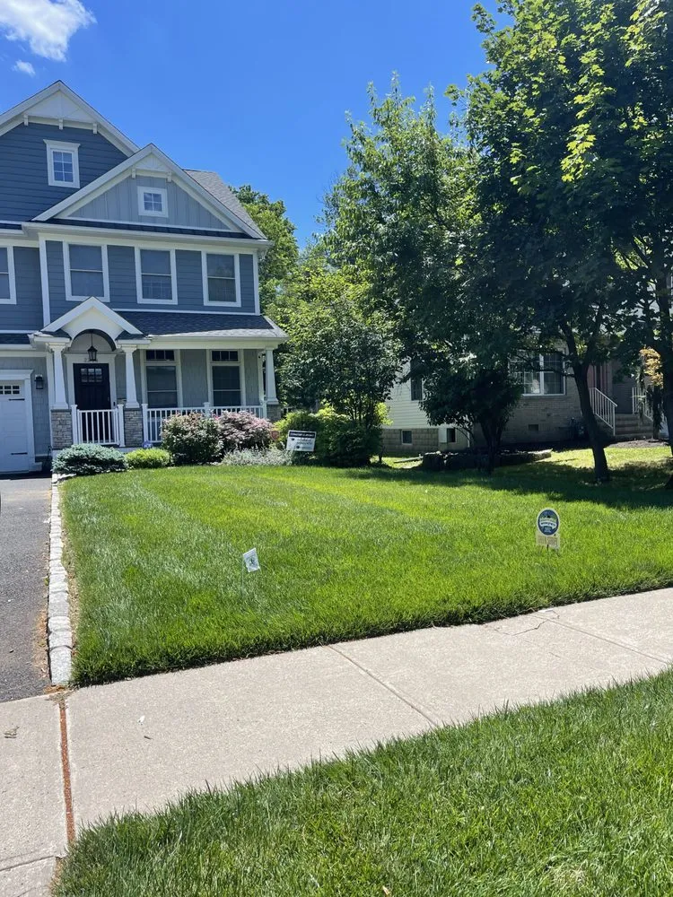 Custom yard cleanup service for beautiful yards in Union, NJ by GreenStripe