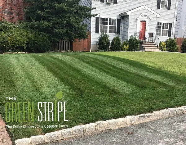 Expert yard maintenance with custom design across Union, NJ - GreenStripe