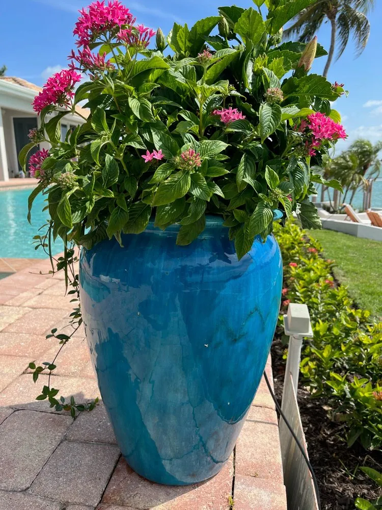 Reliable yard maintenance for residential properties across Marco Island, FL - Greensward