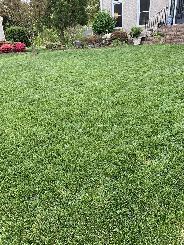 Expert landscaping services experts serving Virginia Beach, VA - Greensward Solutions