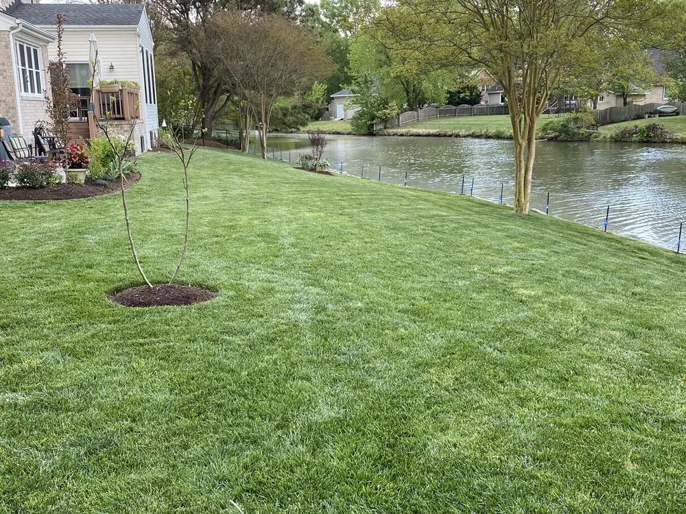 Trusted residential landscaping experts serving Virginia Beach, VA - Greensward Solutions