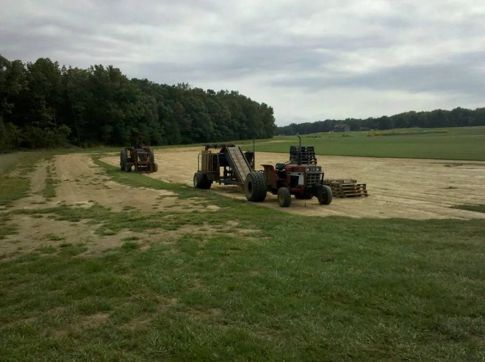 Top-rated outdoor landscaping for beautiful yards across Waldorf, MD - Greensward Turf Farm