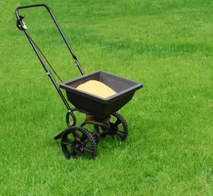 Trusted yard maintenance in Waldorf, MD by Greensward Turf Farm