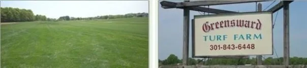 Professional landscaping services in Waldorf, MD - Greensward Turf Farm