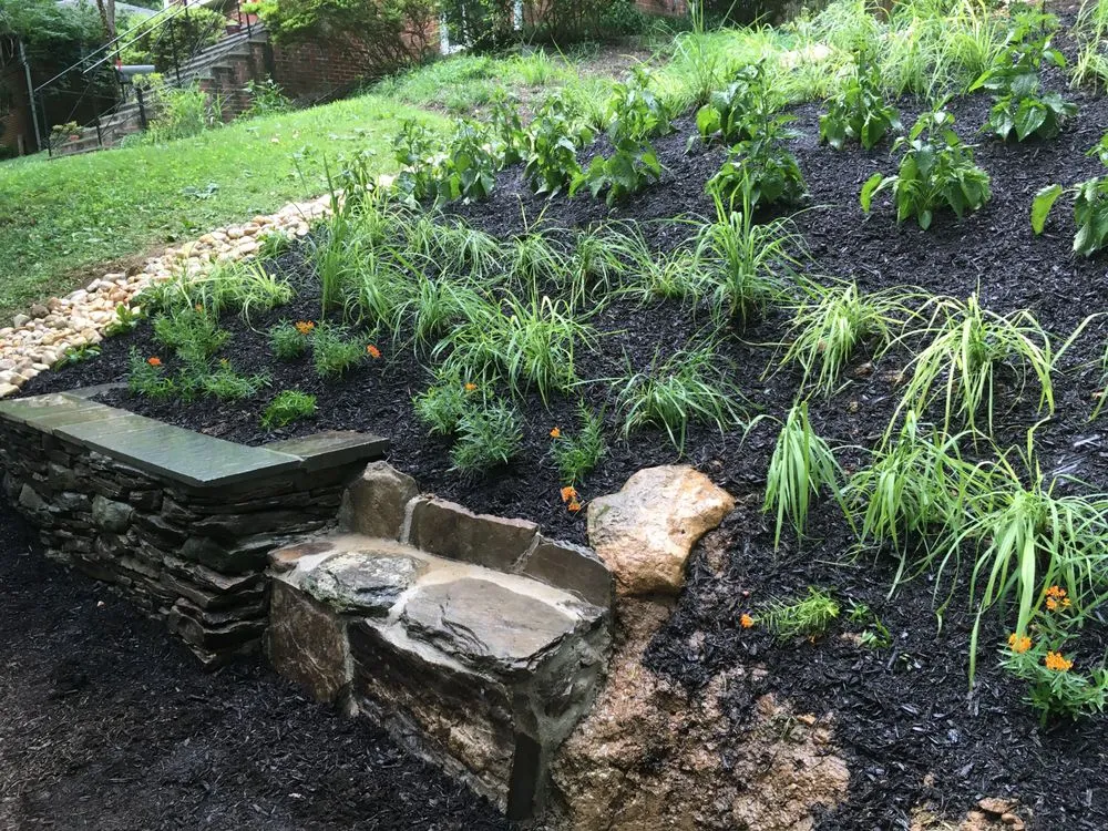 Local landscaping services experts serving Silver Spring, MD - GreenSweep LLC