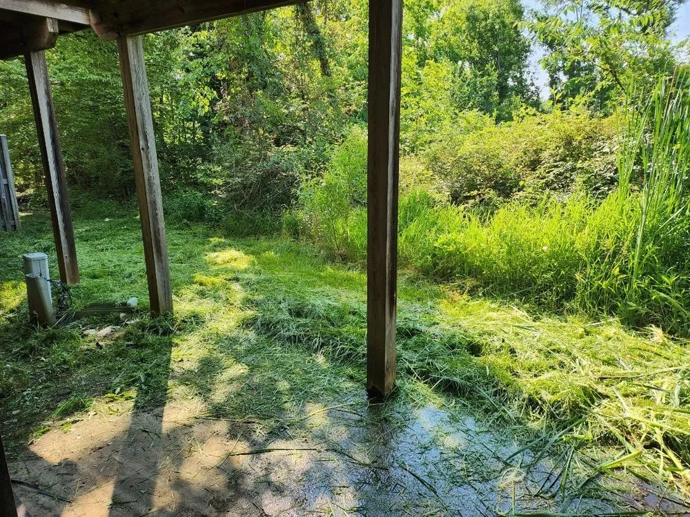 Reliable lawn mowing service in Silver Spring, MD by GreenSweep LLC