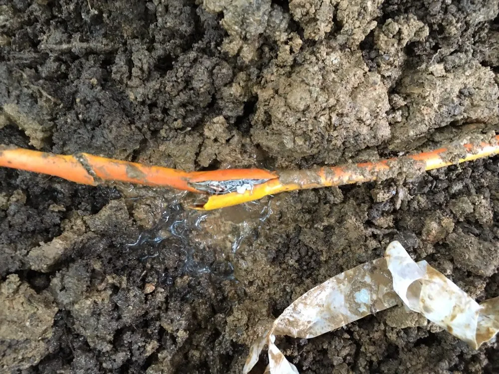 Affordable landscaping services in Silver Spring, MD by GreenSweep LLC