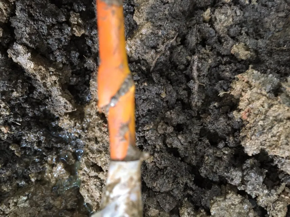 Trusted garden landscaping for homes in Silver Spring, MD by GreenSweep LLC