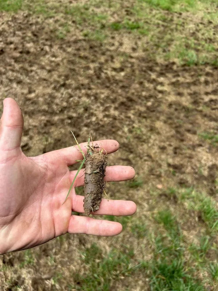 Expert residential landscaping in Raleigh, NC - GreenSweep Solutions